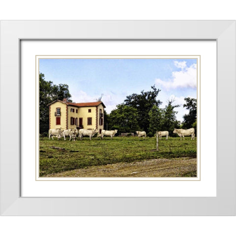 Cow Palace White Modern Wood Framed Art Print with Double Matting by Chester, Colby