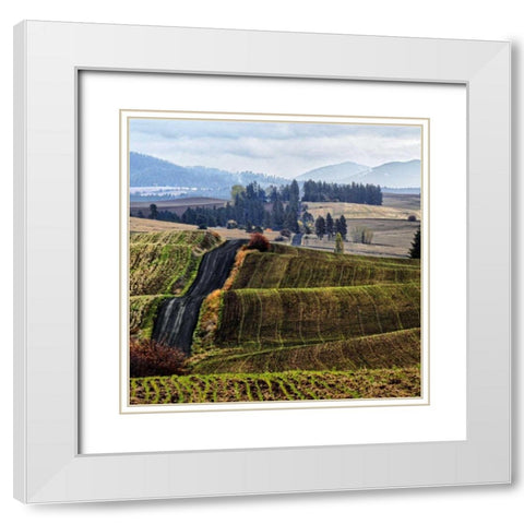 Palouse Hills White Modern Wood Framed Art Print with Double Matting by Chester, Colby