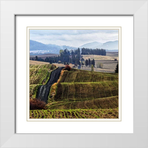Palouse Hills White Modern Wood Framed Art Print with Double Matting by Chester, Colby