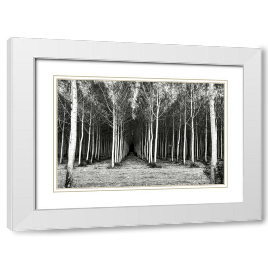 Perspective Image