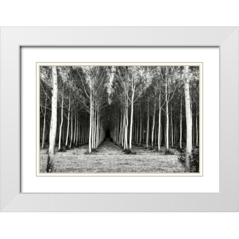 Alley At Lac Duby White Modern Wood Framed Art Print with Double Matting by Chester, Colby