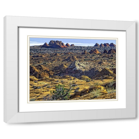 View from Coyote Buttes White Modern Wood Framed Art Print with Double Matting by Chester, Colby