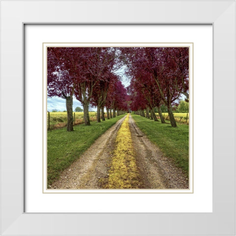 Approach White Modern Wood Framed Art Print with Double Matting by Chester, Colby