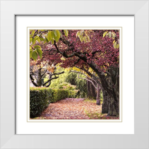 Arch of Trees White Modern Wood Framed Art Print with Double Matting by Chester, Colby