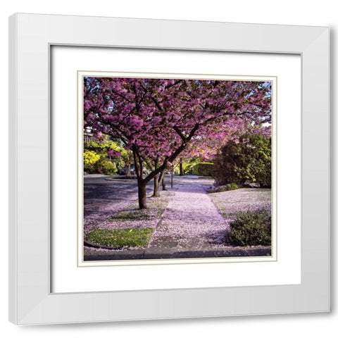 Fallen Petals White Modern Wood Framed Art Print with Double Matting by Chester, Colby