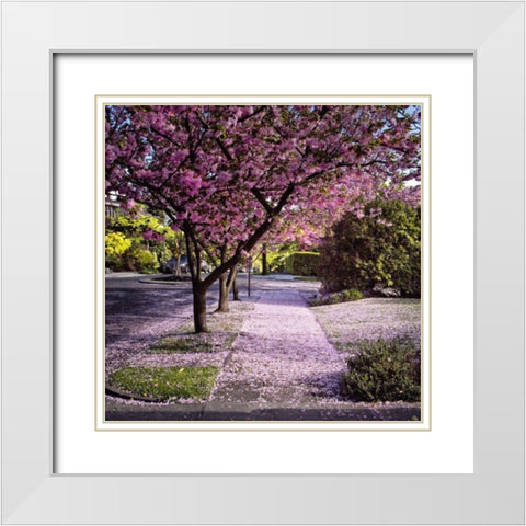 Fallen Petals White Modern Wood Framed Art Print with Double Matting by Chester, Colby