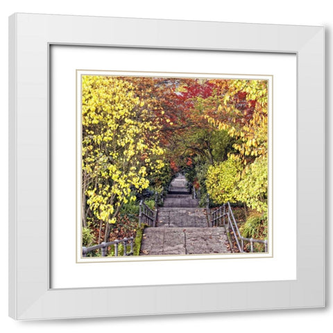Autumn Tunnel White Modern Wood Framed Art Print with Double Matting by Chester, Colby