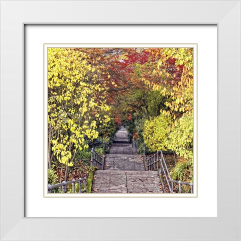 Autumn Tunnel White Modern Wood Framed Art Print with Double Matting by Chester, Colby