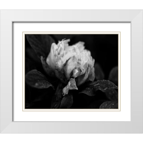 Poetry I White Modern Wood Framed Art Print with Double Matting by Ling, Tang