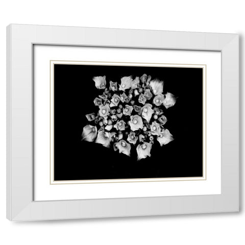 Poetry III White Modern Wood Framed Art Print with Double Matting by Ling, Tang