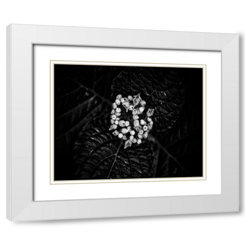 Poetry IV White Modern Wood Framed Art Print with Double Matting by Ling, Tang
