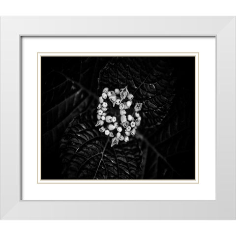 Poetry IV White Modern Wood Framed Art Print with Double Matting by Ling, Tang