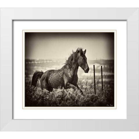 Running Horse White Modern Wood Framed Art Print with Double Matting by Drost, David