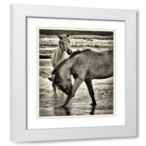Beach Horses I White Modern Wood Framed Art Print with Double Matting by Drost, David