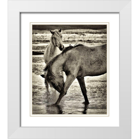 Beach Horses I White Modern Wood Framed Art Print with Double Matting by Drost, David