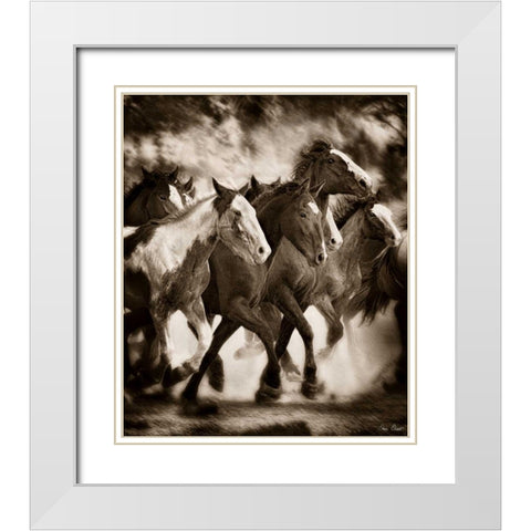 The March White Modern Wood Framed Art Print with Double Matting by Drost, David