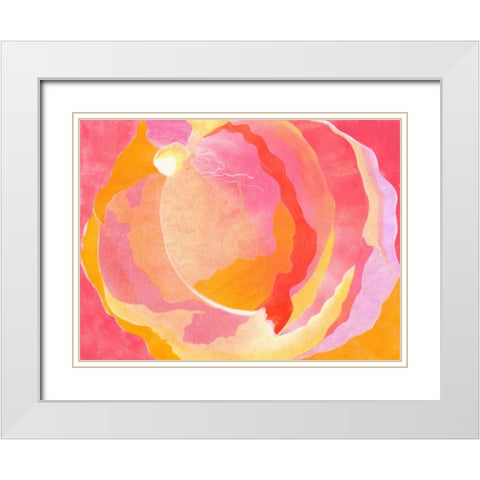 Cabbage Rose III White Modern Wood Framed Art Print with Double Matting by Roth, Carolyn