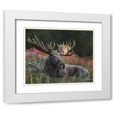 Recumbent Moose White Modern Wood Framed Art Print with Double Matting by Daniel, Kevin
