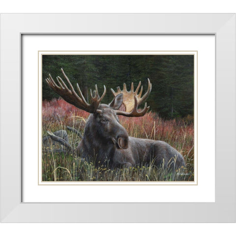 Recumbent Moose White Modern Wood Framed Art Print with Double Matting by Daniel, Kevin