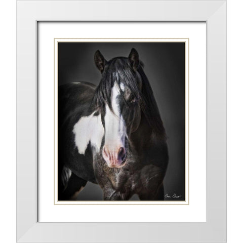 Horse Portrait II White Modern Wood Framed Art Print with Double Matting by Drost, David