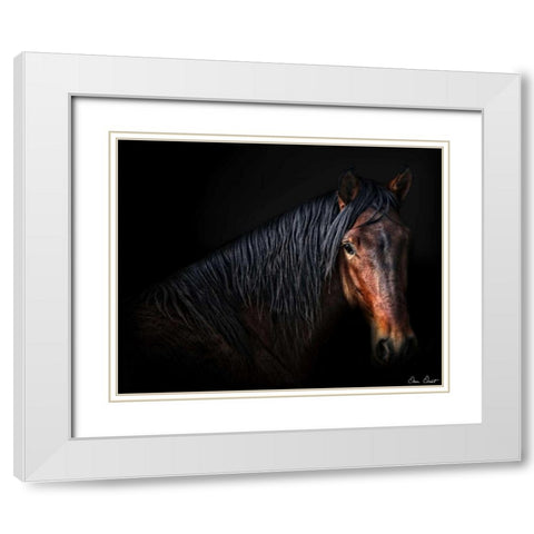 Horse Portrait VII White Modern Wood Framed Art Print with Double Matting by Drost, David