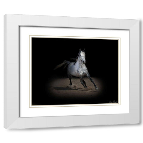 Horse Portrait IX White Modern Wood Framed Art Print with Double Matting by Drost, David