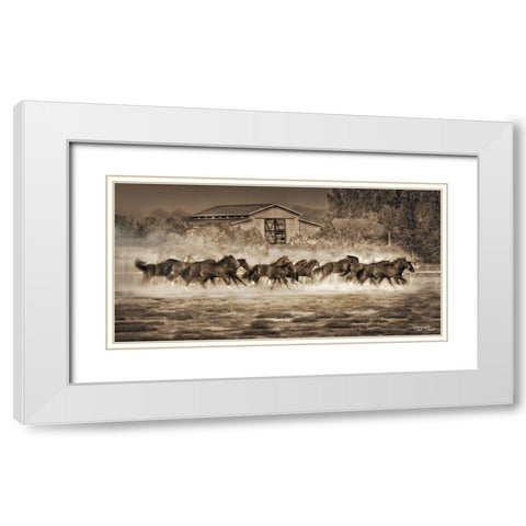 Custom A Dozen Quarters (ASH) White Modern Wood Framed Art Print with Double Matting by Drost, David