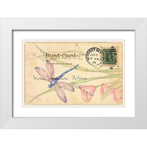 Postcard Dragonfly II White Modern Wood Framed Art Print with Double Matting by Pallan, Nancy S.