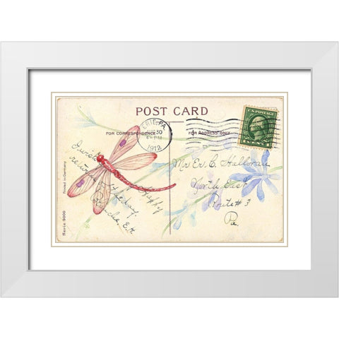 Postcard Dragonfly IV White Modern Wood Framed Art Print with Double Matting by Pallan, Nancy S.
