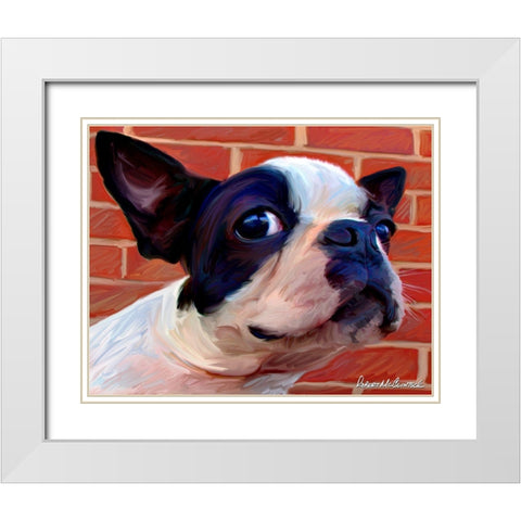 Boston Puppy White Modern Wood Framed Art Print with Double Matting by McClintock, Robert