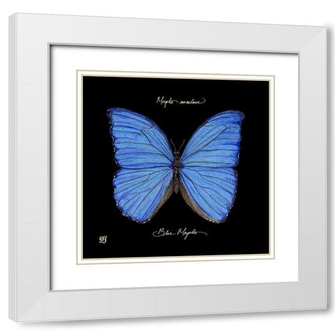 Striking Butterfly I White Modern Wood Framed Art Print with Double Matting by Joyner, Ginny