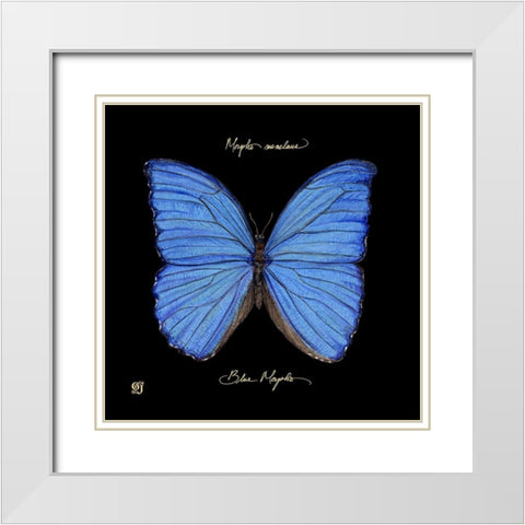 Striking Butterfly I White Modern Wood Framed Art Print with Double Matting by Joyner, Ginny