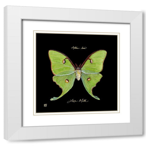 Striking Butterfly IV White Modern Wood Framed Art Print with Double Matting by Joyner, Ginny