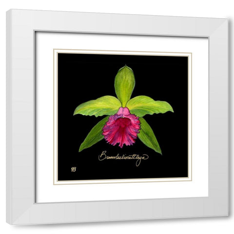 Vivid Orchid I White Modern Wood Framed Art Print with Double Matting by Joyner, Ginny
