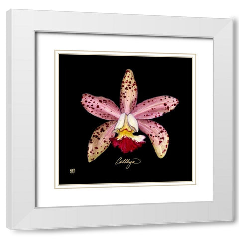 Vivid Orchid III White Modern Wood Framed Art Print with Double Matting by Joyner, Ginny