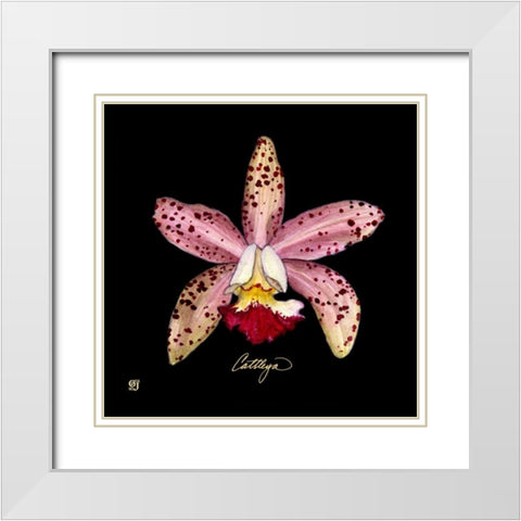 Vivid Orchid III White Modern Wood Framed Art Print with Double Matting by Joyner, Ginny