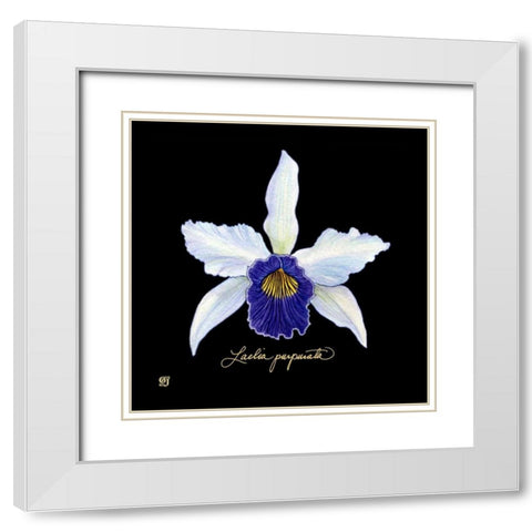 Vivid Orchid IV White Modern Wood Framed Art Print with Double Matting by Joyner, Ginny