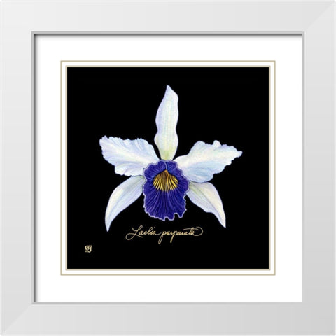 Vivid Orchid IV White Modern Wood Framed Art Print with Double Matting by Joyner, Ginny