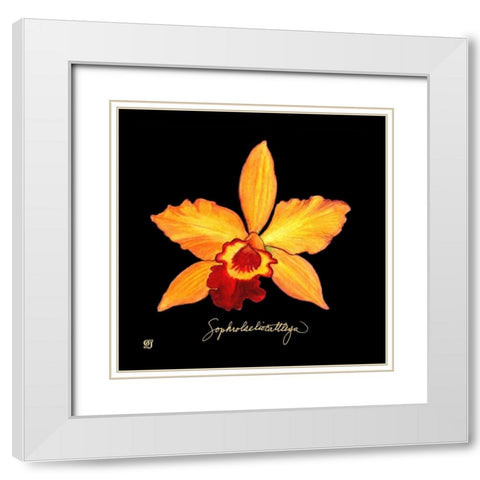 Vivid Orchid VI White Modern Wood Framed Art Print with Double Matting by Joyner, Ginny