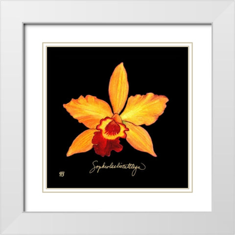 Vivid Orchid VI White Modern Wood Framed Art Print with Double Matting by Joyner, Ginny
