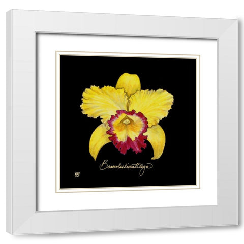 Vivid Orchid VII White Modern Wood Framed Art Print with Double Matting by Joyner, Ginny