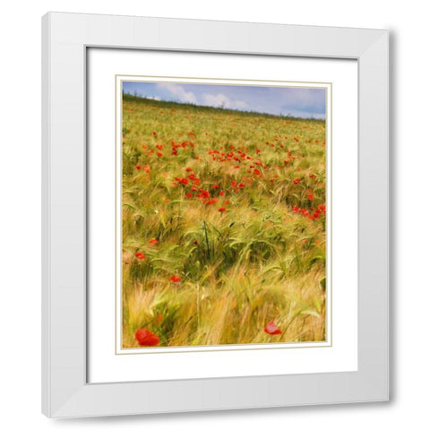 Poppies in Field I White Modern Wood Framed Art Print with Double Matting by Chester, Colby