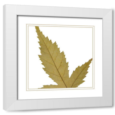 Leaf Inflorescence IV White Modern Wood Framed Art Print with Double Matting by Project, A.