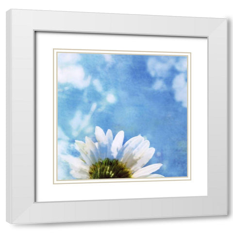 Daisies III White Modern Wood Framed Art Print with Double Matting by Blixt, Ingrid