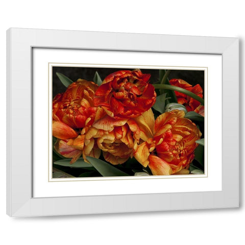 Old World Tulips I White Modern Wood Framed Art Print with Double Matting by Perry, Rachel