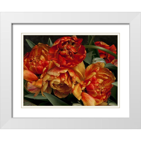 Old World Tulips I White Modern Wood Framed Art Print with Double Matting by Perry, Rachel