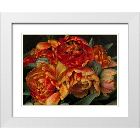 Old World Tulips II White Modern Wood Framed Art Print with Double Matting by Perry, Rachel