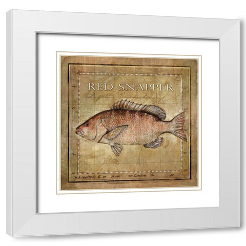 Ocean Fish VII White Modern Wood Framed Art Print with Double Matting by Beth Anne Creative