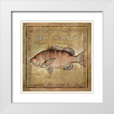 Ocean Fish VII White Modern Wood Framed Art Print with Double Matting by Beth Anne Creative