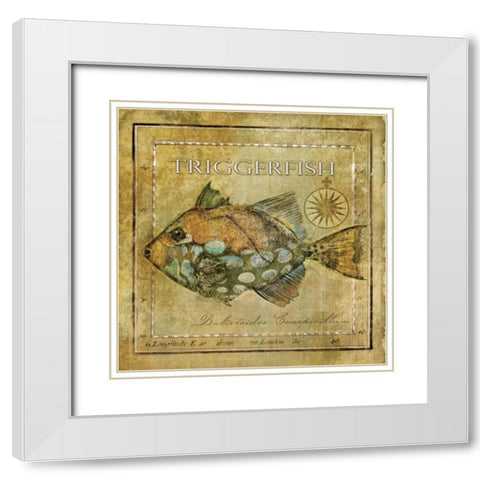 Ocean Fish XI White Modern Wood Framed Art Print with Double Matting by Beth Anne Creative